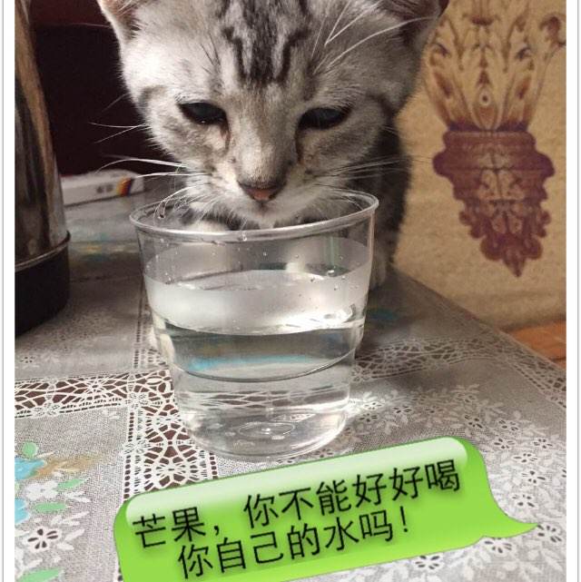 韩国大佛大学文凭毕业证成绩认证